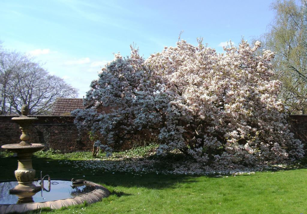 Hilbury Court Hotel Trowbridge Dış mekan fotoğraf